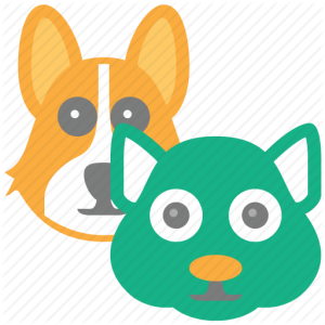 Cat image