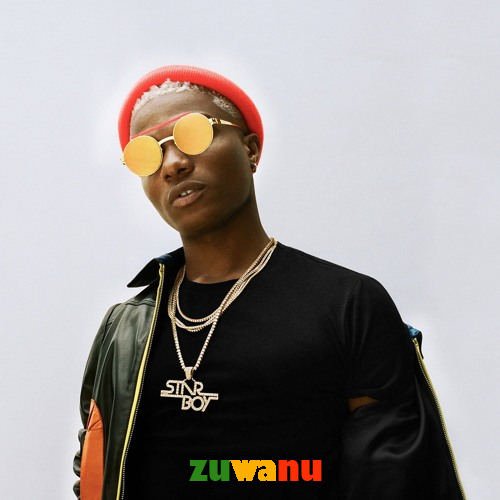 wizkid net worth 2022