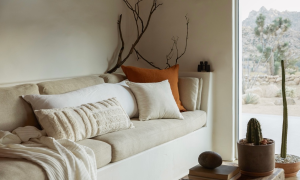 throw pillow for introduction