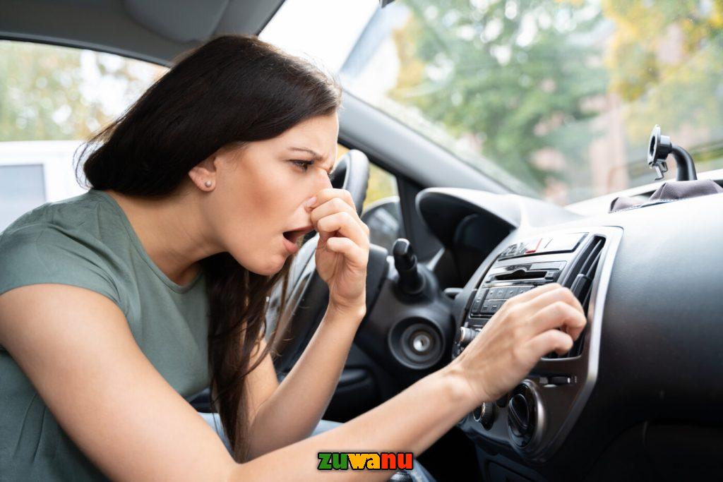 Get Rid of Bad Smells in a Car