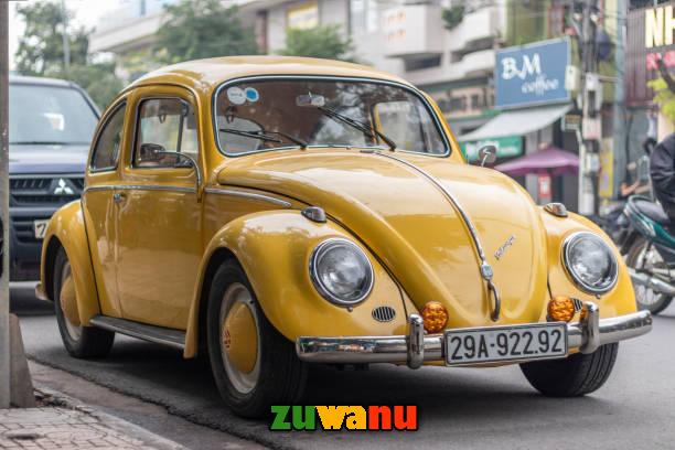 Beetle Car