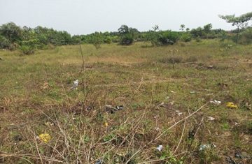 2 Plots Of Land For Sale At Onosa