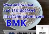 New Bmk Powder China manufacturer Cas 5413-05-8