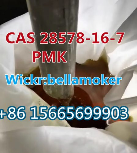 CAS 28578-16-7 pmk/pmk liquid/pmk oil/pmk powder