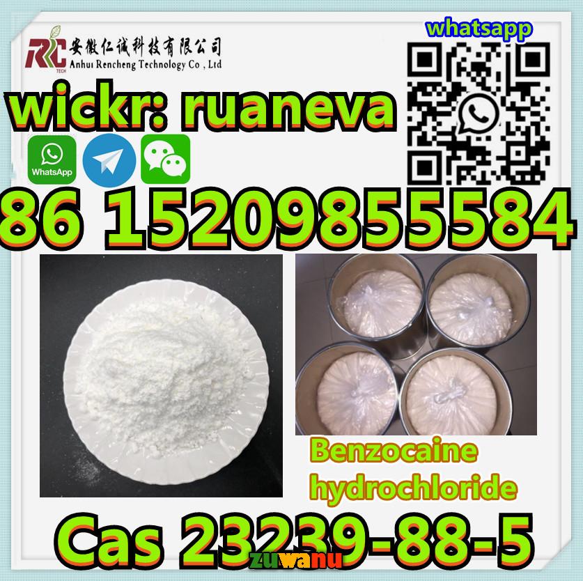 Cas 23239-88-5 Benzocaine hydrochloride chemical r