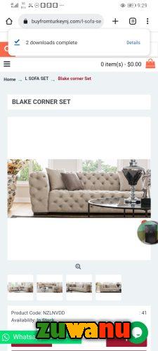 Exclusive Modern sofa design