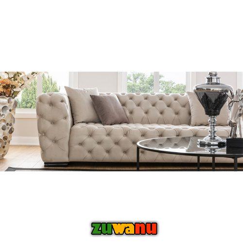 Exclusive Modern sofa design