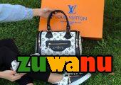 Louis Vuitton Hand bags for ladies