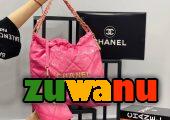 Chanel bags with purse