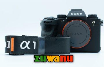 Sony a1 Mirrorless Camera