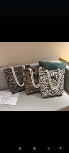 fancy bags for ladies