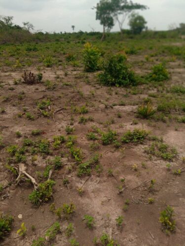 100 acres of farmland for sale