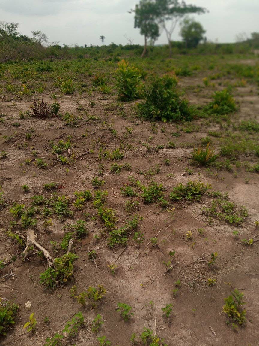 100 acres of farmland for sale