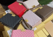 Lady’s hand bags latest designs