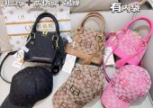 Lady’s hand bags latest designs