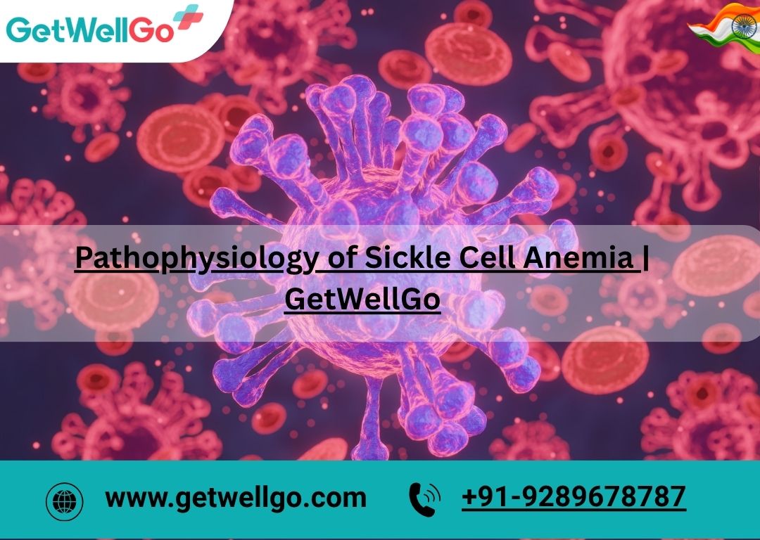 Affordable Kidney Transplant Surgery in India for Nigerians – GetWellGo Medical Tourism