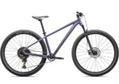 2026 Specialized Rockhopper Comp (WIEKBIKE)