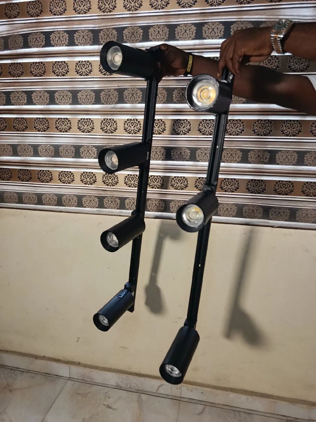 Ceiling track light