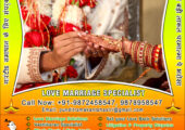 Indian Vashikaran Specialist