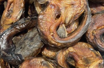 oven-smoked-catfish-free-classifieds-in-nigeria-zuwanu