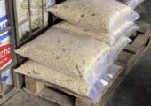 Mixed Dog food/indomie waste