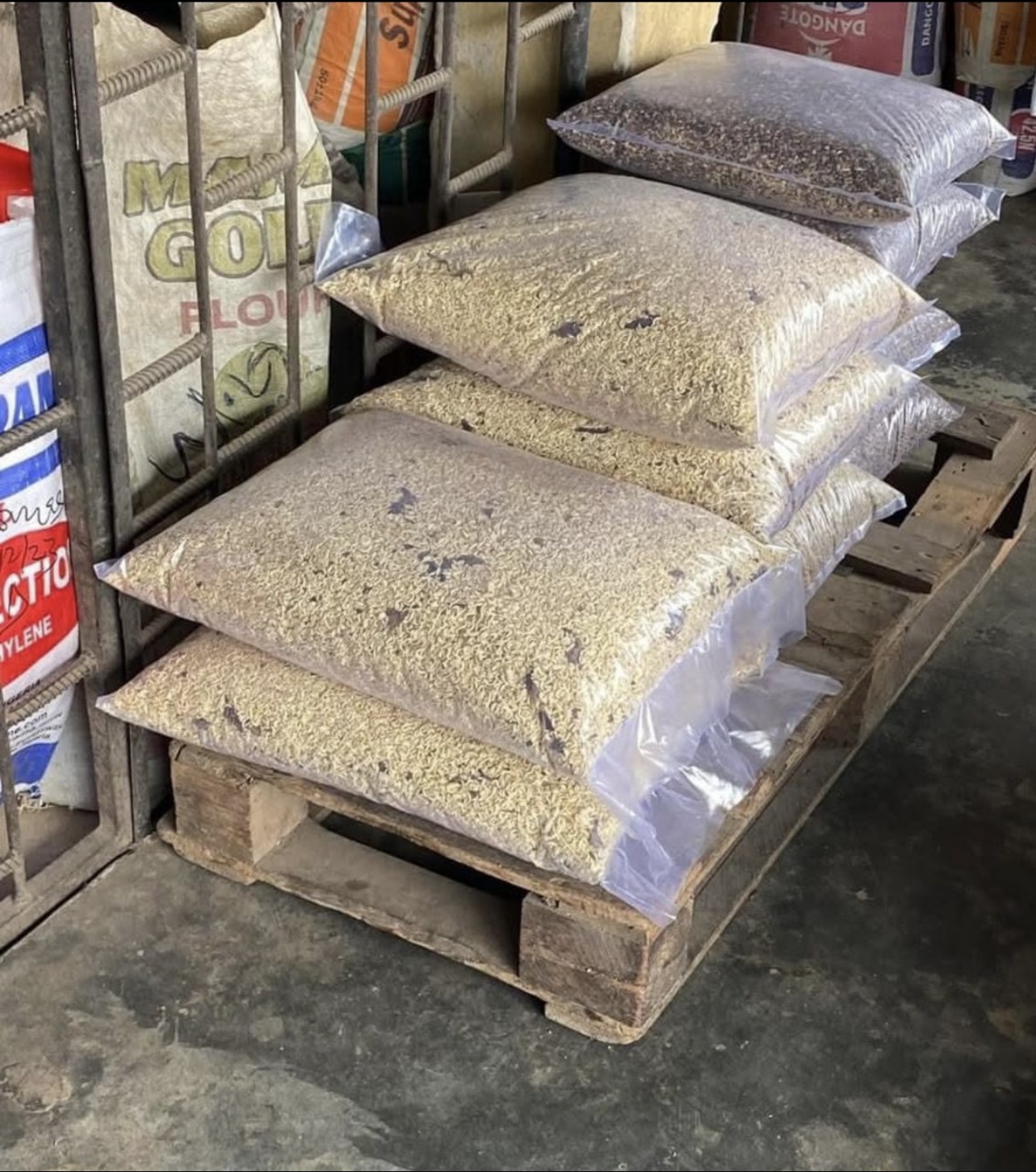 Mixed Dog food/indomie waste
