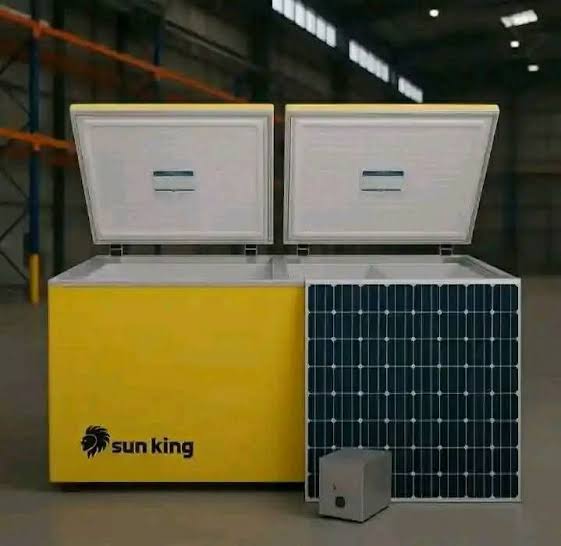 Double Door SunKing Solar Deep Freezer
