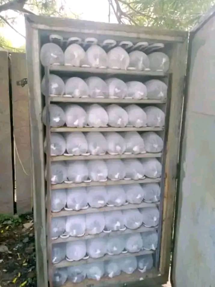 Standing Ice Block Making Fridge
