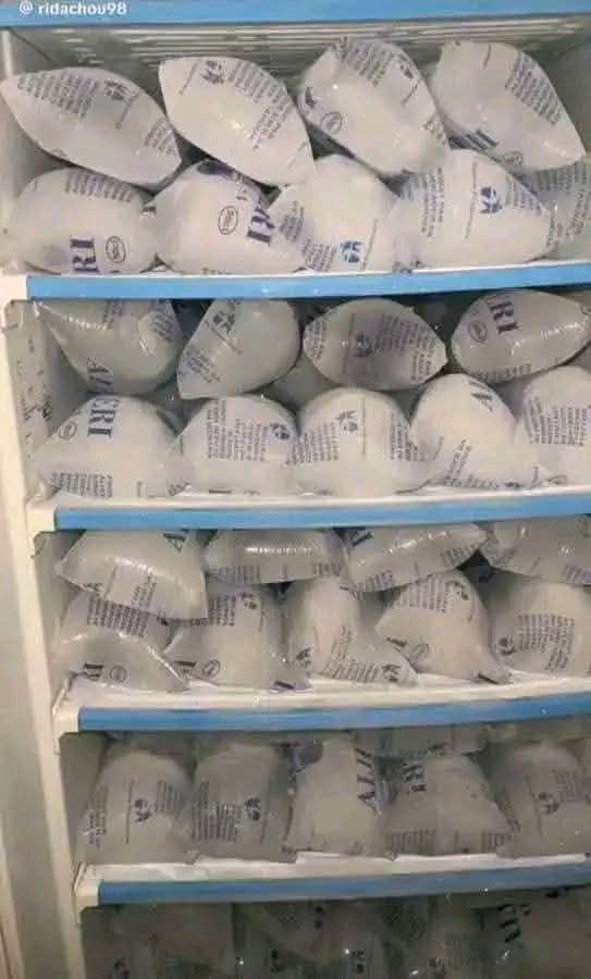 Standing Ice Block Making Fridge