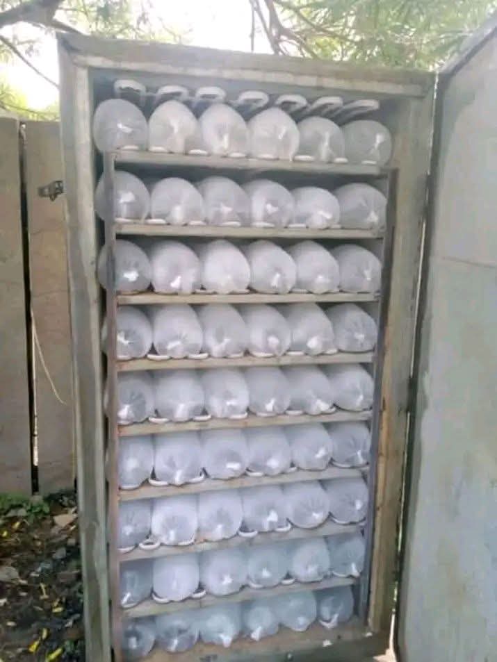 Standing Ice Block Making Fridge