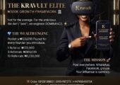 Elite Business Growth & Scaling Framework.